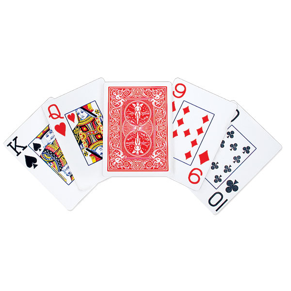 Playing Cards - Brailled